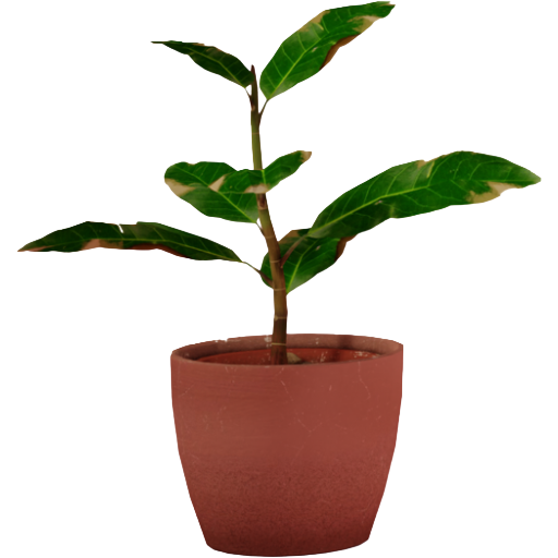Planters